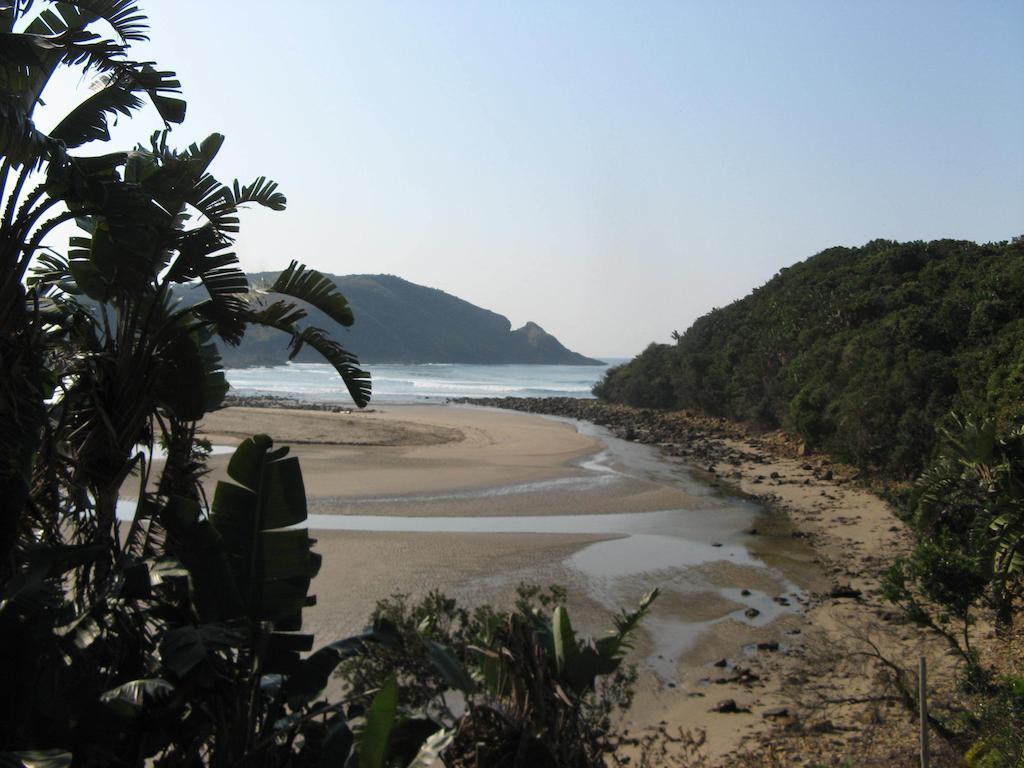 The Lodge On The Beach Port Saint John's Phòng bức ảnh